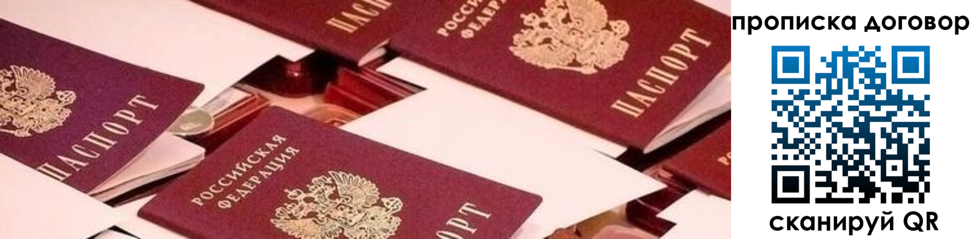 прописка 2025 в Бокситогорске